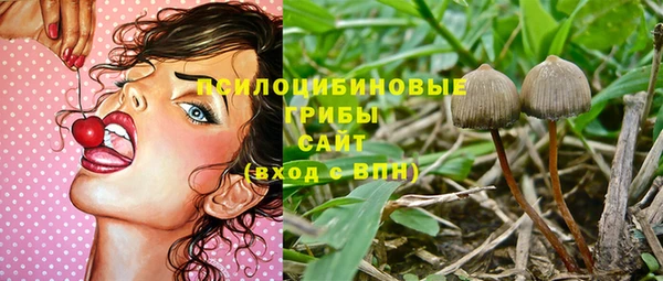 соль ск Медногорск